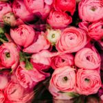 The Mom Business Studio Home page image